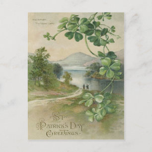 Four Leaf Clover Killarney Mountain Postcard