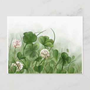 Four Leaf Clover Postcard
