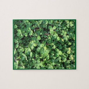 Four-Leaf Clover Puzzle