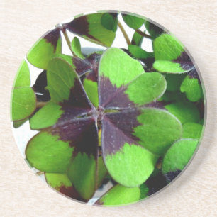 Four Leaf Clover Shamrock St. Patrick’s Lucky Coaster
