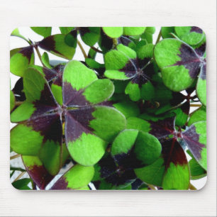 Four Leaf Clover Shamrock St. Patrick’s Lucky Mouse Pad