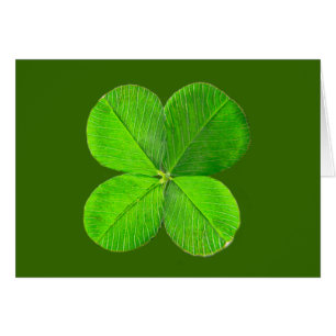 Four Leaf Clover The MUSEUM Zazzle Gifts