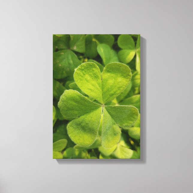 Four Leaf Clover Wall Art Photo Canvas (Front)