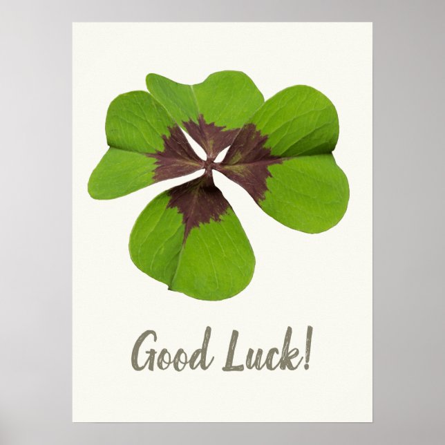 Four Leaf Lucky Clover St Patricks Day Good Luck Poster (Front)