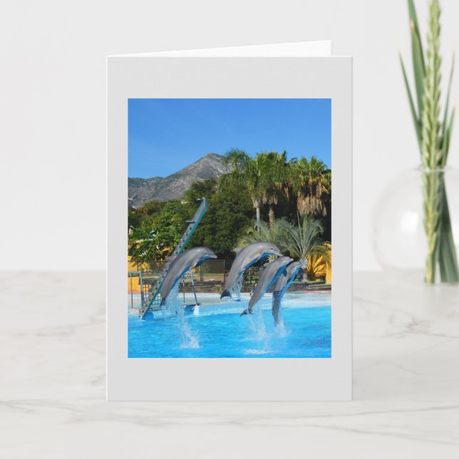 Four leaping dolphins holiday card (Front)