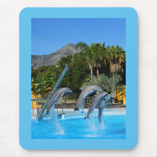 Four leaping dolphins mouse pad (Front)