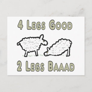 Four Legs Good Funny Sheep Pun Postcard