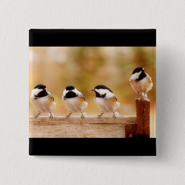 Four little chickadees 2 inch square button (Front)