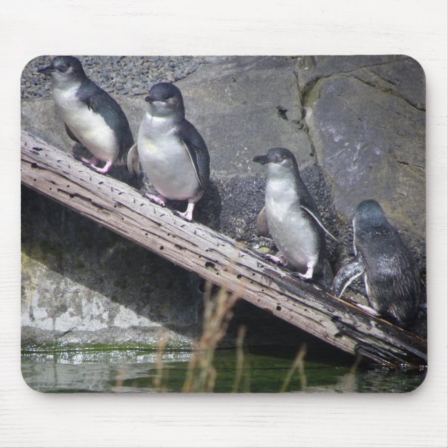 Four Little Penguins Mouse Pad (Front)