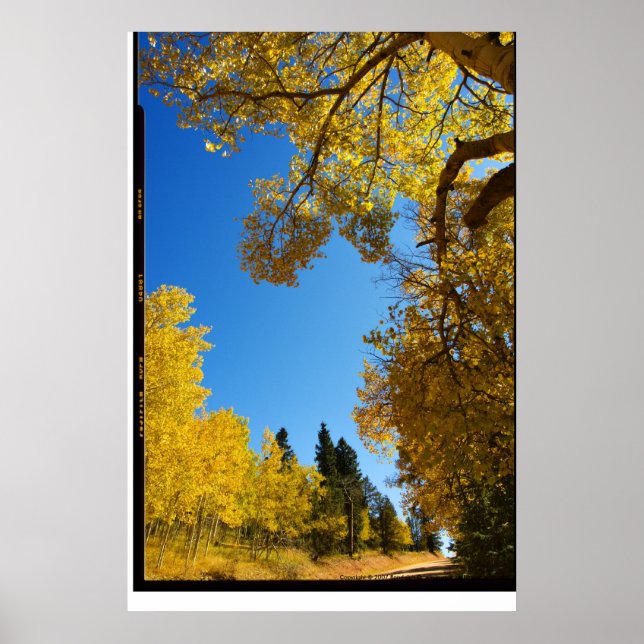 Four Mile Road, Cripple Creek, Colorado Poster (Devant)