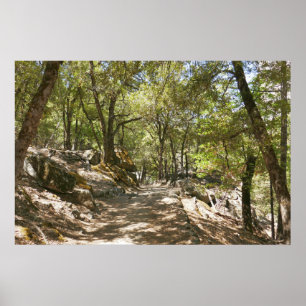 Four Mile Trail Poster