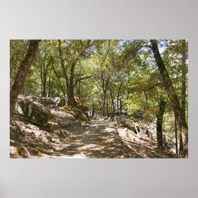 Four Mile Trail Poster (Front)