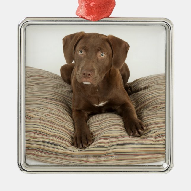 Four-Month-Old Chocolate Lab Puppy on Pillow Metal Ornament (Front)