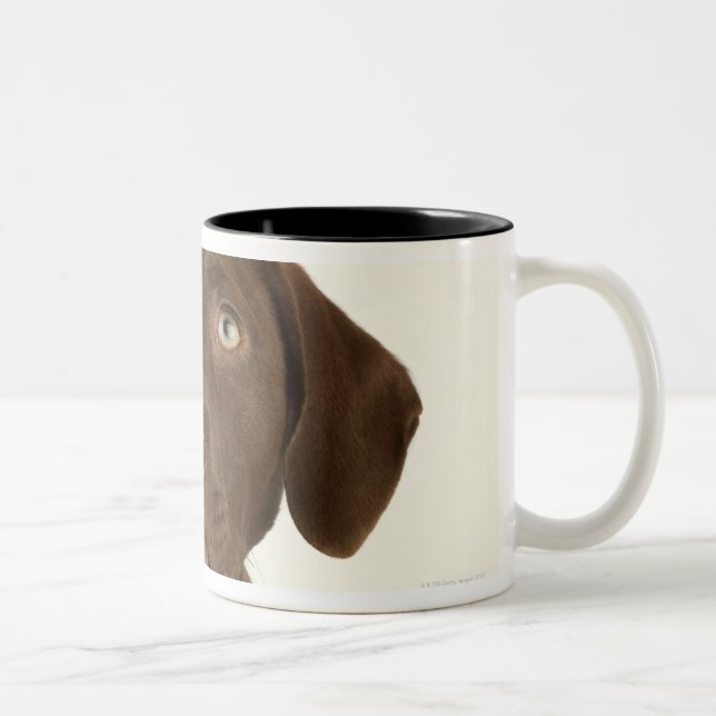 Four-Month-Old Chocolate Lab Puppy Portrait Two-Tone Coffee Mug (Right)