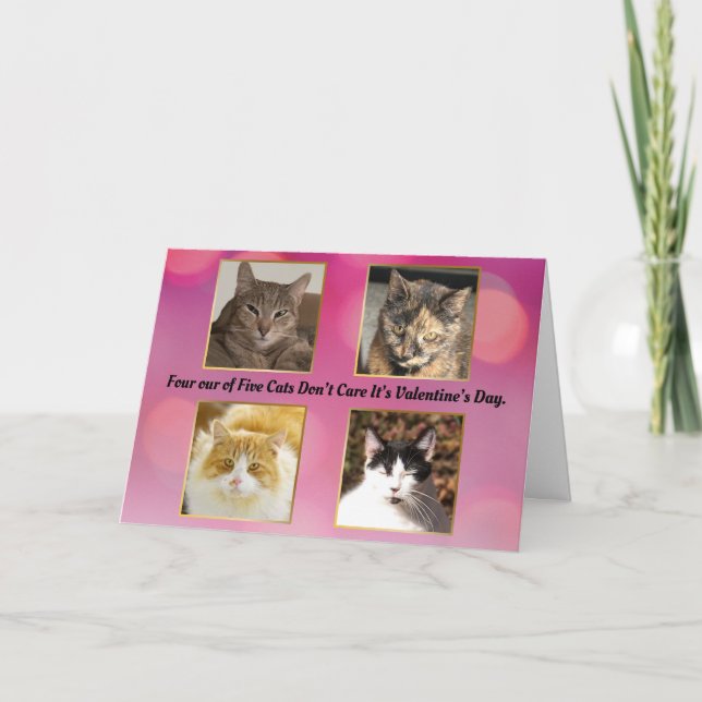 Four out of Five Cats Don't Care About Valentine's Card (Front)