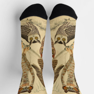 Four owls illustration socks