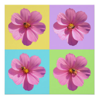 Four-Panel Cosmos Flowers with Honeybee Poster