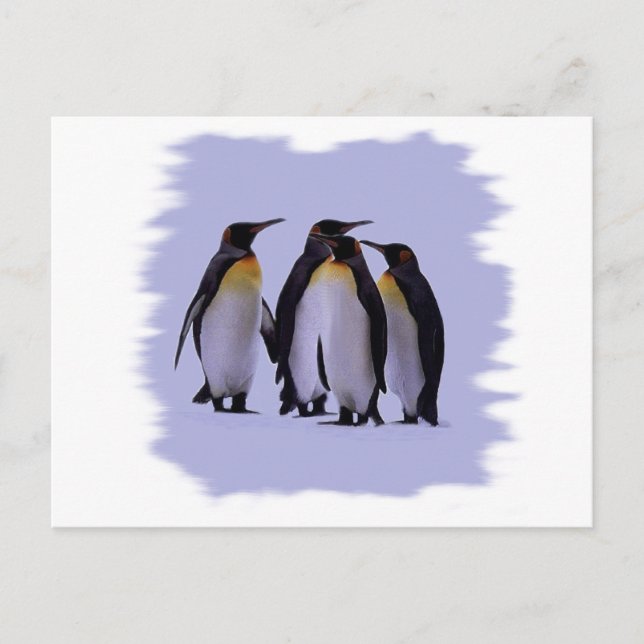 Four Penguins Postcard (Front)