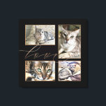 Four Pet Photos Collage Love Script Black Canvas Print<br><div class="desc">A montage of four photos of your furry friends to hang on your wall, whereby you can easily swap in your chosen 4 pictures. The word Love overlaps the pictures slightly and is set in elegant gold script.The black background colour can be changed to a different colour if you so...</div>