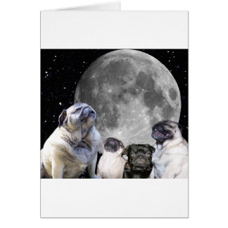 Four Pug Moon Pug