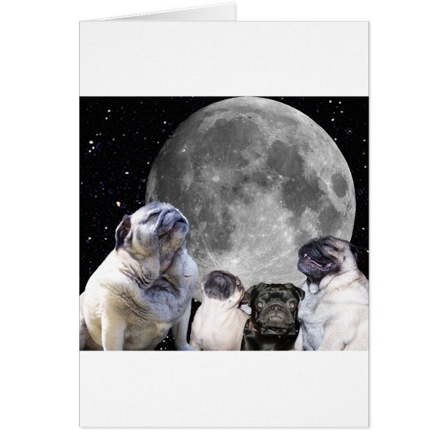 Four Pug Moon Pug (Front)