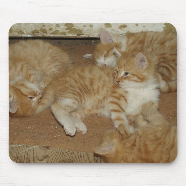 Four Red Tabbies Mouse Pad (Front)
