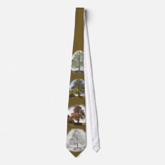 Four Seasons Tie