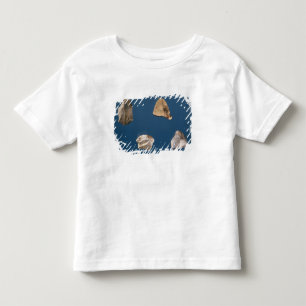 Four tools, 35000-10000 BC Toddler T-shirt