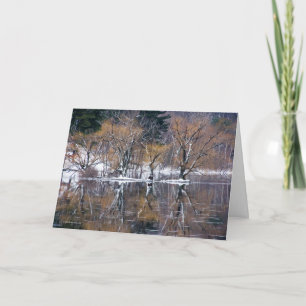 Four Trees Reflected Card