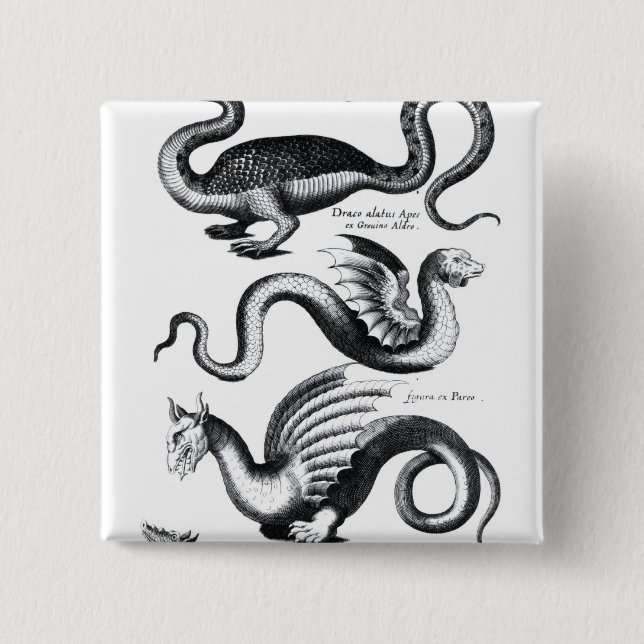 Four types of dragon 2 inch square button (Front)