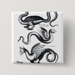 Four types of dragon 2 inch square button