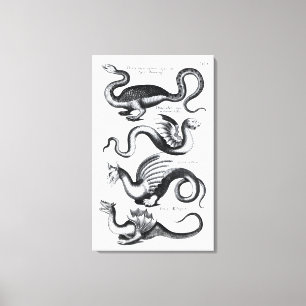 Four types of dragon canvas print