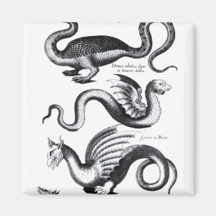 Four types of dragon magnet
