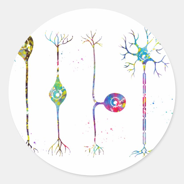 Four types of neurons classic round sticker (Front)