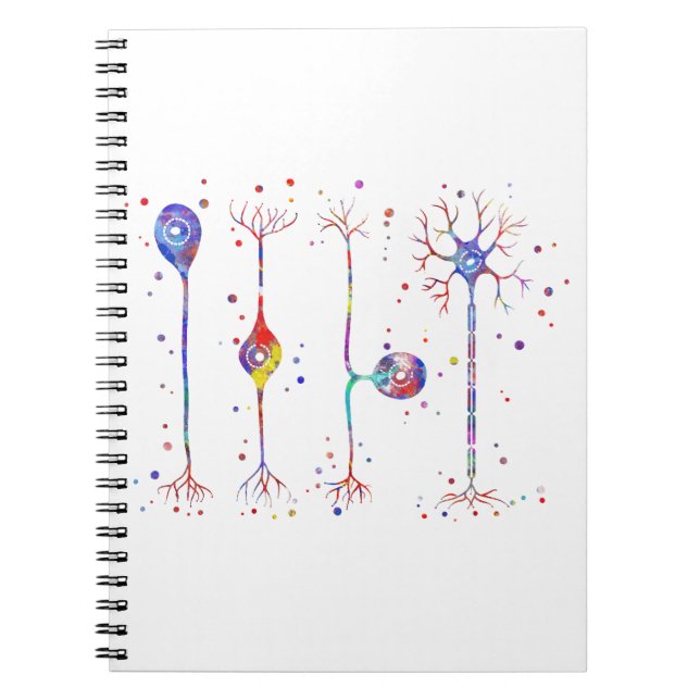 Four types of neurons notebook (Front)