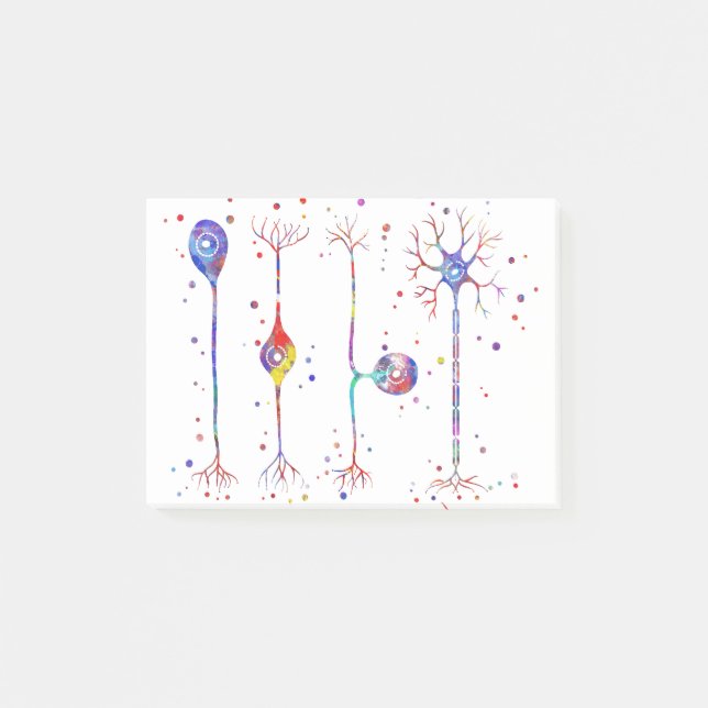 Four types of neurons post-it notes (Front)