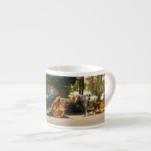 Four-wheeled horse-drawn carriage