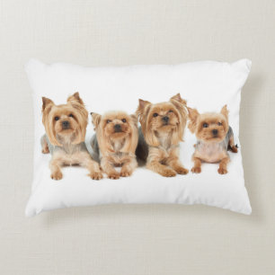 Four yorkies accent pillow