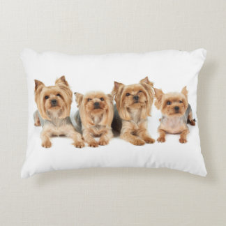 Four yorkies accent pillow