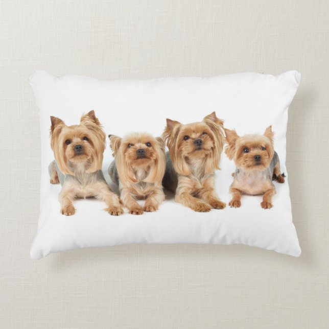 Four yorkies accent pillow (Front)