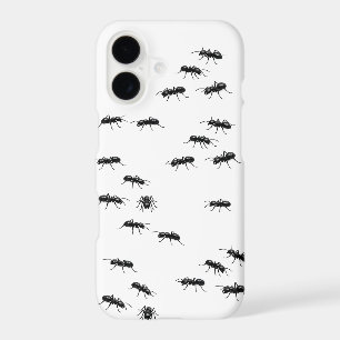 Fourmis noires sur blanc