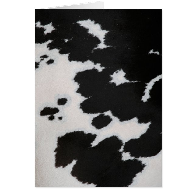 Fourrure de vache (Devant)