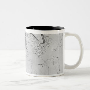 Fourteen egrets, from the The Vallardi Album Two-Tone Coffee Mug