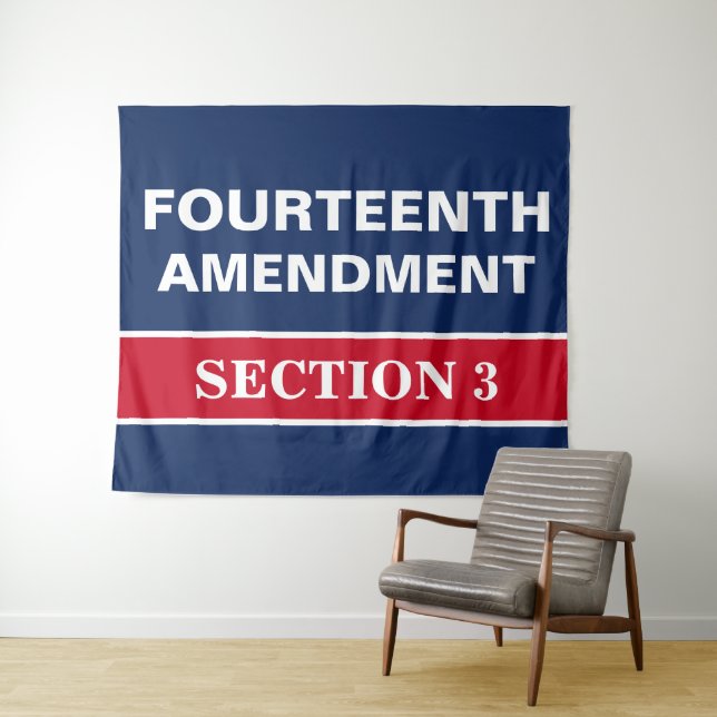 Fourteenth Amendment Section 3 Constitution Tapestry (In Situ (Horizontal))