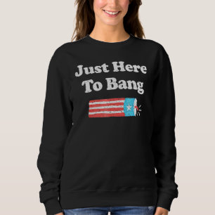 Fourth Of July 4th Of July Im Just Here To Bang _8 Sweatshirt