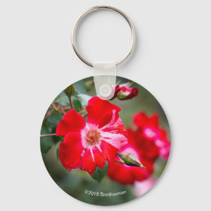 Fourth of July Shrub Keychain