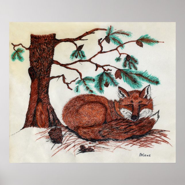 FOX Beneath Pine Bough Poster (Front)