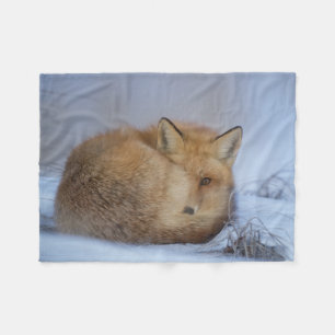 fox blanket, fox throw, cosy sleeping fox fleece blanket