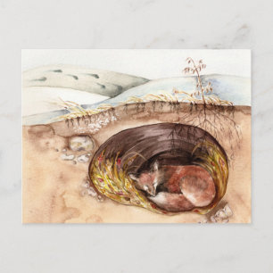 Fox Borrow Postcard