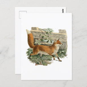 Fox by a Fence Rustic Animal Rural Cottage Design Postcard